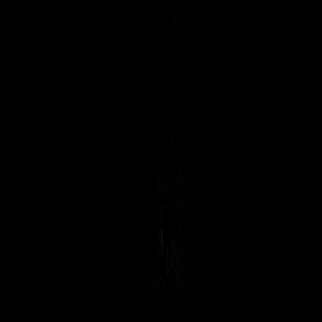 A graduated boy under the tree