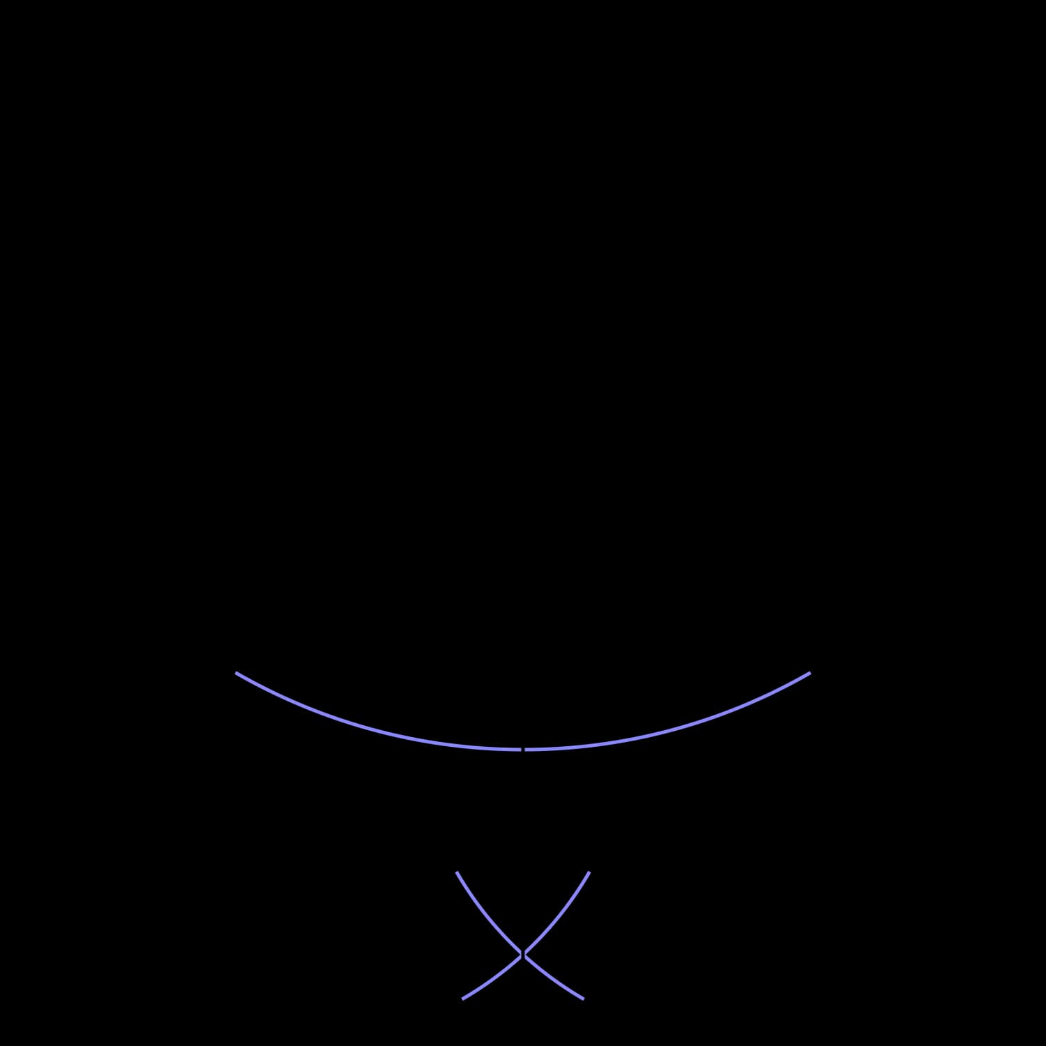 Perpendicular from Outer Point Step 5